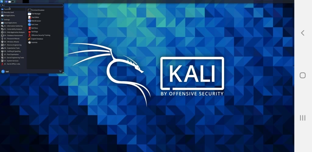 Kali Linux nethunter