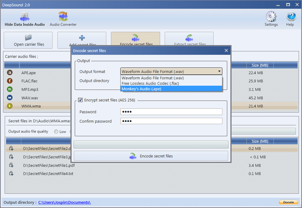 Progreso de codificación y directorio de salida en DeepSound