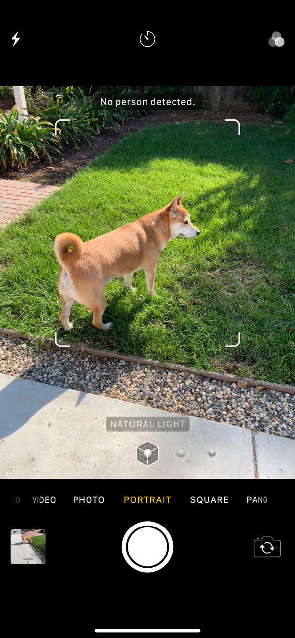 Fotografía en modo retrato tomada con iPhone XR